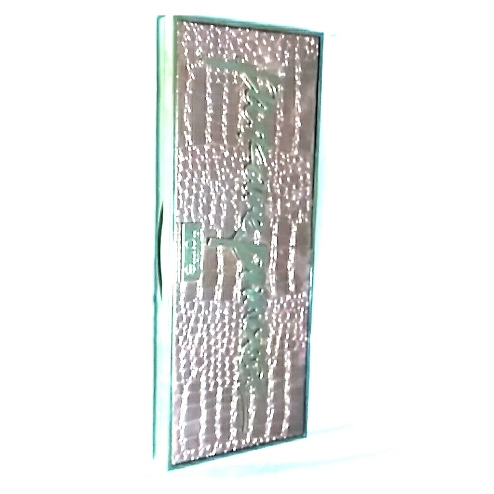 parkave Princess contour pallete